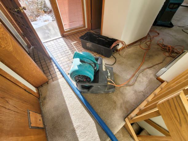 Professional Water damage restoration in New London, IA