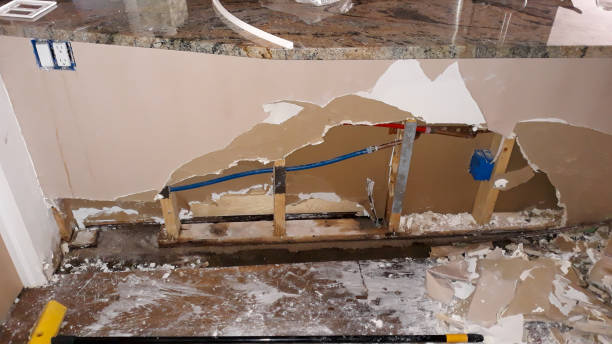 Best Water damage restoration near me  in New London, IA