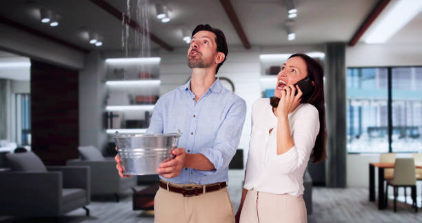 Best Residential water damage restoration  in New London, IA
